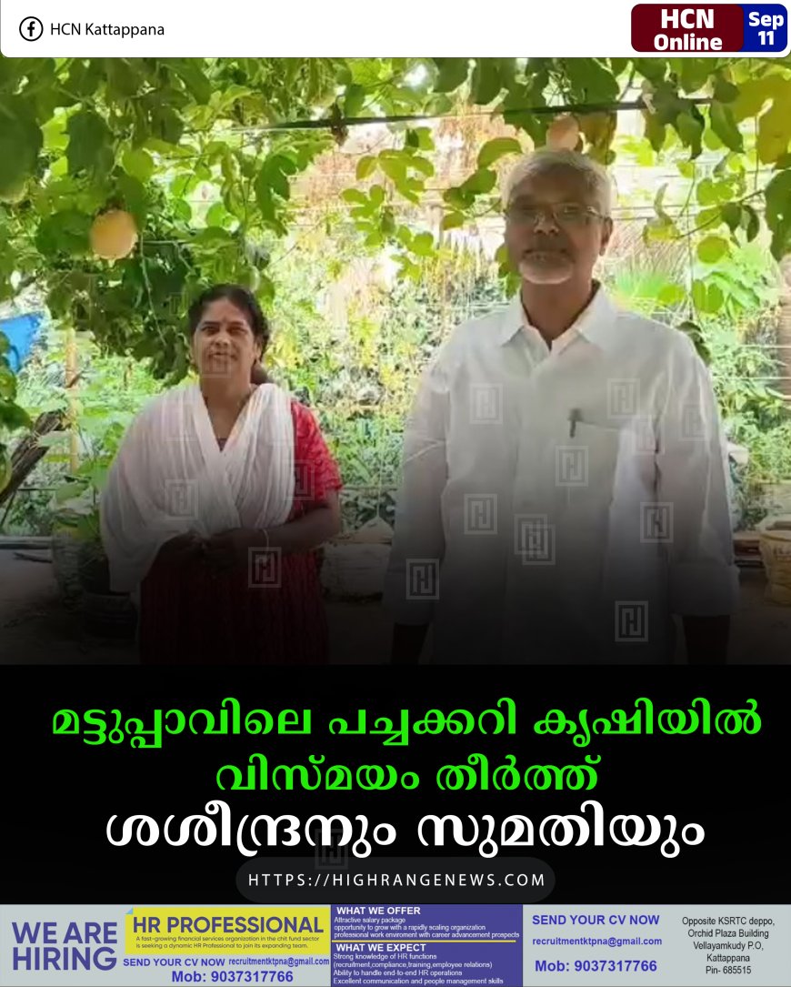 മട്ടുപ്പാവിലെ പച്ചക്കറി കൃഷിയില്‍ വിസ്മയം തീര്‍ത്ത് ശശീന്ദ്രനും സുമതിയും 