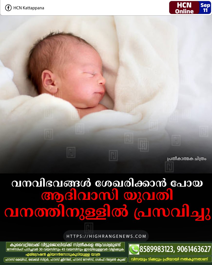 വനവിഭവങ്ങള്‍ ശേഖരിക്കാന്‍ പോയ ആദിവാസി യുവതി വനത്തിനുള്ളില്‍ പ്രസവിച്ചു 