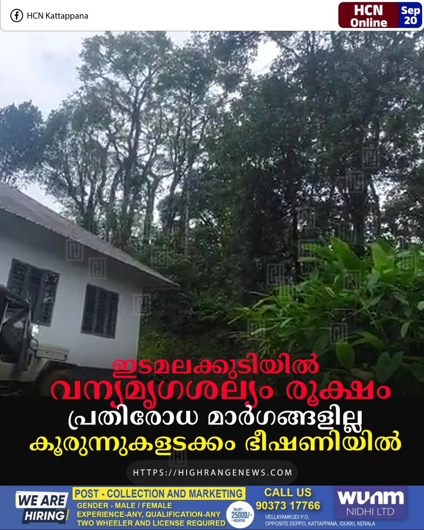 ഇടമലക്കുടിയില് വന്യമൃഗശല്യം രൂക്ഷം: പ്രതിരോധ മാര്ഗങ്ങളില്ല: കൂരുന്നുകളടക്കം ഭീഷണിയില്