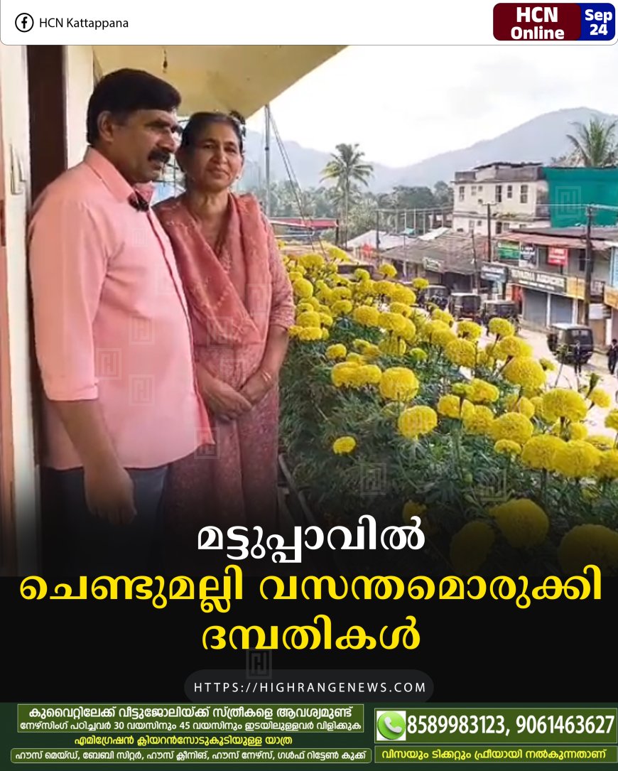 മട്ടുപ്പാവില്‍ ചെണ്ടുമല്ലി വസന്തമൊരുക്കി ദമ്പതികള്‍