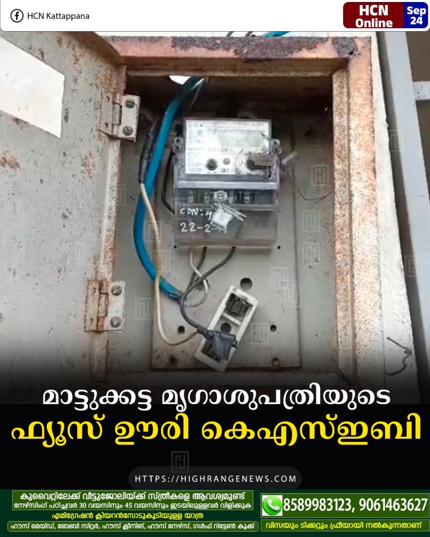 മാട്ടുക്കട്ട മൃഗാശുപത്രിയുടെ ഫ്യൂസ് ഊരി കെഎസ്ഇബി