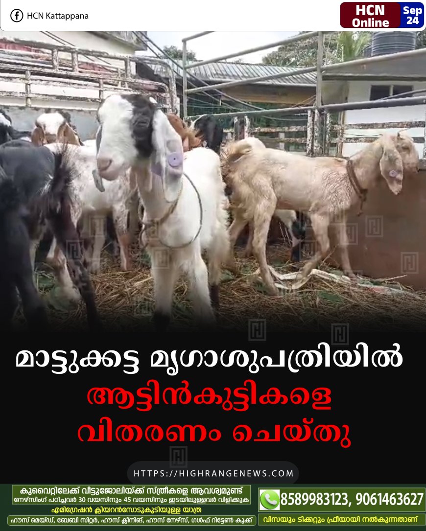 മാട്ടുക്കട്ട മൃഗാശുപത്രിയില് ആട്ടിന്കുട്ടികളെ വിതരണം ചെയ്തു
