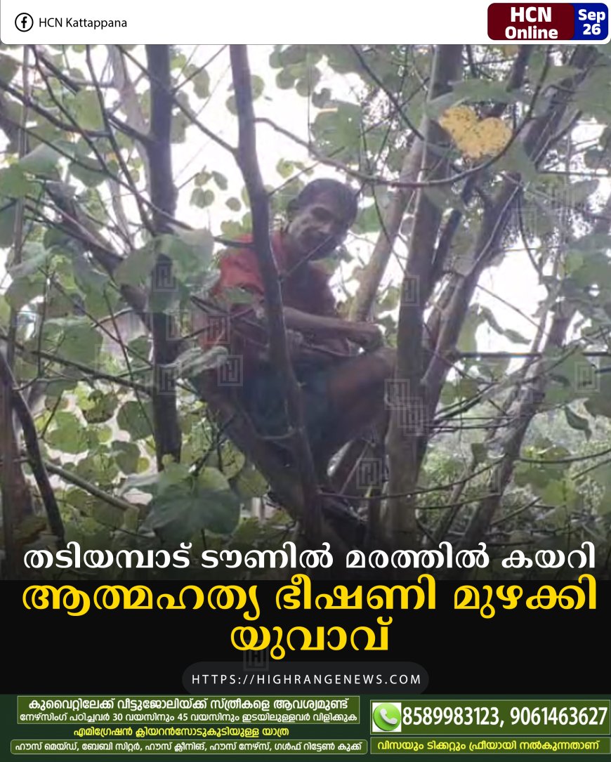 തടിയമ്പാട് ടൗണില് മരത്തില് കയറി ആത്മഹത്യ ഭീഷണി മുഴക്കി യുവാവ്