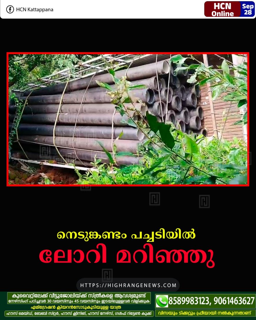 നെടുങ്കണ്ടം പച്ചടിയില്‍ ലോറി മറിഞ്ഞു