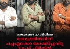 നെടുങ്കണ്ടം മാവടിയിലെ തോട്ടത്തില്നിന്ന് പച്ചഏലക്കാ മോഷ്ടിച്ചുവിറ്റ 3 പേര് പിടിയില്