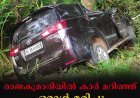 രാജകുമാരിയില്‍ കാര്‍ മറിഞ്ഞ് ഒരാള്‍ മരിച്ചു: 4 പേര്‍ക്ക് പരിക്ക് 