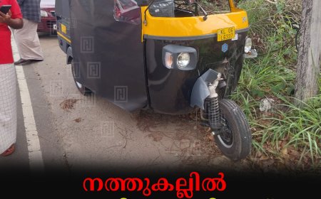 നത്തുകല്ലില്‍ ഓട്ടോറിക്ഷ മറിഞ്ഞ് 3 പേര്‍ക്ക് പരിക്ക്