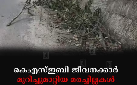 കെഎസ്ഇബി ജീവനക്കാര് മുറിച്ചുമാറ്റിയ മരച്ചില്ലകള് മലയോര ഹൈവേയോരത്ത് തള്ളി: കാല്നടയാത്രികര്ക്ക് ഭീഷണി