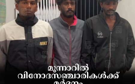 മൂന്നാറില്‍ വിനോദസഞ്ചാരികള്‍ക്ക് മര്‍ദനം: 3 യുവാക്കള്‍ക്കെതിരെ വധശ്രമത്തിന് കേസ്