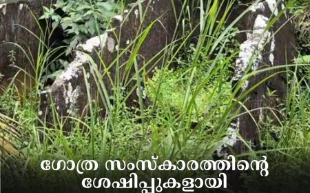 ഗോത്ര സംസ്‌കാരത്തിന്റെ ശേഷിപ്പുകളായി ഇടുക്കി വെള്ളാപ്പാറയിലെ മുനിയറകള്‍