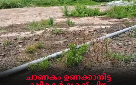 ചാണകം ഉണക്കാനിട്ട ക്ഷീരകര്‍ഷകന് പിഴ: വാര്‍ത്ത തെറ്റിദ്ധരിപ്പിക്കുന്നതെന്ന് ചക്കുപള്ളം പഞ്ചായത്ത് ഭരണസമിതി