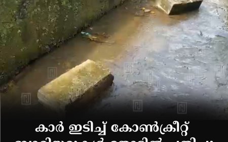 കാര്‍ ഇടിച്ച് കോണ്‍ക്രീറ്റ് ബാരിയറുകള്‍ തോട്ടില്‍ പതിച്ചു: അപകടം കട്ടപ്പന പാറക്കടവ് ബൈപാസ് റോഡിലെ റേഷന്‍കടപ്പടിയില്‍