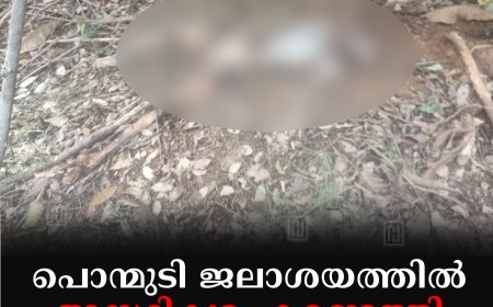 പൊന്മുടി ജലാശയത്തില്‍ അസ്ഥികൂടം കണ്ടെത്തി