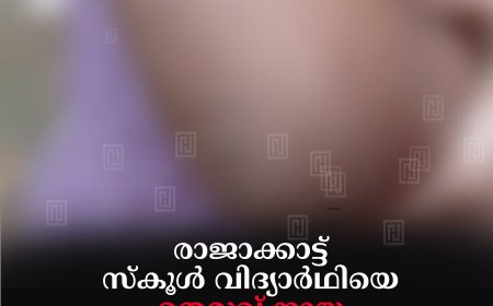 രാജാക്കാട്ട് സ്‌കൂള്‍ വിദ്യാര്‍ഥിയെ തെരുവ് നായ കടിച്ചുപരിക്കേല്‍പ്പിച്ചു