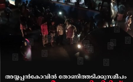 അയ്യപ്പന്‍കോവില്‍ തോണിത്തടിക്കുസമീപം ബസും ജീപ്പും കൂട്ടിയിടിച്ച് ഒരാള്‍ക്ക് പരിക്ക്