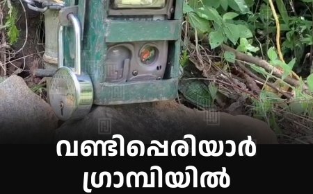 വണ്ടിപ്പെരിയാര്‍ ഗ്രാമ്പിയില്‍ കടുവയുടെ സാന്നിധ്യം 