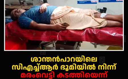 ശാന്തന്‍പാറയിലെ സിഎച്ച്ആര്‍ ഭൂമിയില്‍ നിന്ന് മരംവെട്ടി കടത്തിയെന്ന് ആരോപിച്ച് യുവാവിന് മര്‍ദനം: മൂന്ന് പേര്‍ അറസ്റ്റില്‍
