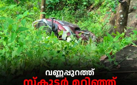 വണ്ണപ്പുറത്ത് സ്‌കൂട്ടര്‍ മറിഞ്ഞ് യുവാവ് മരിച്ചു      