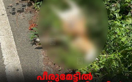 പീരുമേട്ടില്‍ കേഴയാട് ചത്തനിലയില്‍