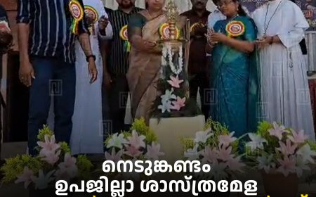 നെടുങ്കണ്ടം ഉപജില്ലാ ശാസ്ത്രമേള: ചെമ്മണ്ണാര്‍, നെടുങ്കണ്ടം, വണ്ടന്‍മേട് സ്‌കൂളുകള്‍ ജേതാക്കള്‍