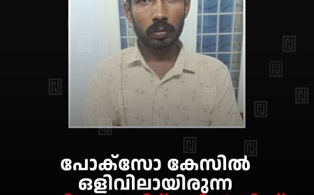 പോക്സോ കേസില്‍ ഒളിവിലായിരുന്ന പ്രതിയെ തമിഴ്നാട്ടില്‍ നിന്ന് പിടികൂടി