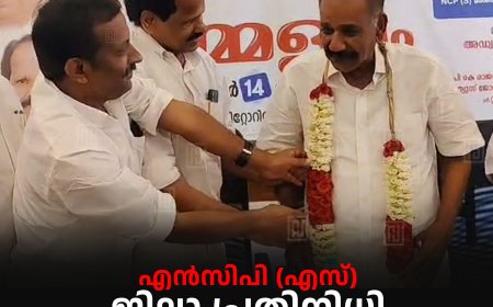 എന്‍സിപി (എസ്) ജില്ലാ പ്രതിനിധി സമ്മേളനം നടത്തി