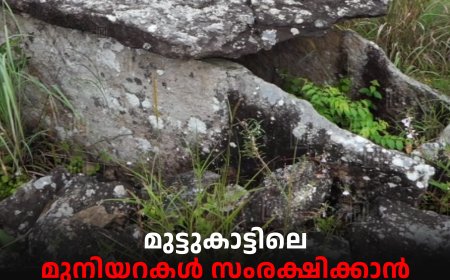 മുട്ടുകാട്ടിലെ മുനിയറകള്‍ സംരക്ഷിക്കാന്‍ പദ്ധതിയൊരുക്കി ചിന്നക്കനാല്‍ പഞ്ചായത്ത് 