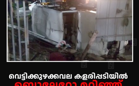 വെട്ടിക്കുഴക്കവല കളരിപ്പടിയില് ബൊലേറോ മറിഞ്ഞ് ഒരാള്ക്ക് പരിക്ക്