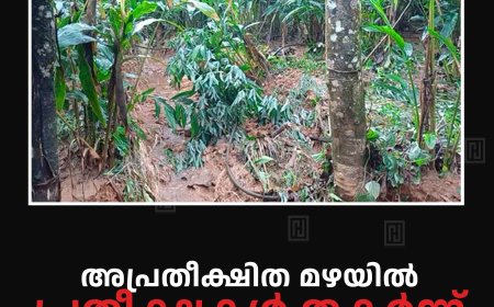 അപ്രതീക്ഷിത മഴയില്‍ പ്രതീക്ഷകള്‍ തകര്‍ന്ന് കര്‍ഷകര്‍