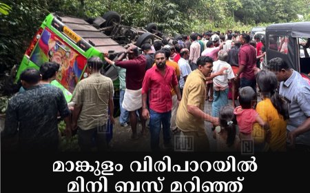 മാങ്കുളം വിരിപാറയില് മിനി ബസ് മറിഞ്ഞ് വിനോദ സഞ്ചാരികള്ക്ക് പരിക്ക്