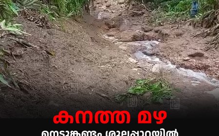 കനത്ത മഴ: നെടുങ്കണ്ടം ശൂലപ്പാറയില്‍ 4 ഏക്കര്‍ കൃഷി ഭൂമി ഒലിച്ചുപോയി