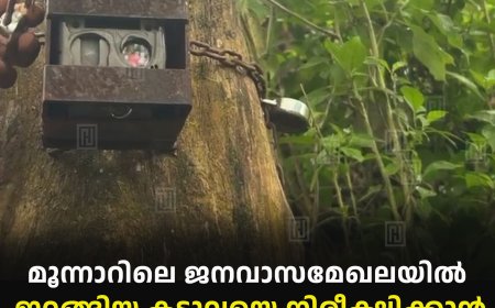 മൂന്നാറിലെ ജനവാസമേഖലയില്‍ ഇറങ്ങിയ കടുവയെ നിരീക്ഷിക്കാന്‍ വനംവകുപ്പ് ക്യാമറ സ്ഥാപിച്ചു 