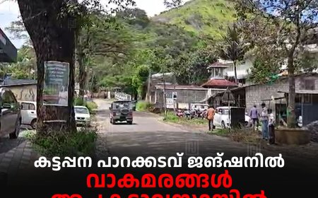 കട്ടപ്പന പാറക്കടവ് ജങ്ഷനില് വാകമരങ്ങള് അപകടാവസ്ഥയില്: ഭീതിയില് വ്യാപാരികളും കാല്നടയാത്രികരും