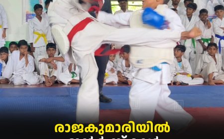 രാജകുമാരിയില് ഇന്റര് സ്കൂള് കരാട്ടെ ചാമ്പ്യന്ഷിപ്പ് നടത്തി