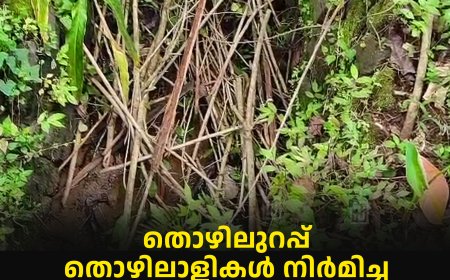തൊഴിലുറപ്പ് തൊഴിലാളികള് നിര്മിച്ച ജൈവവേലികള് സാമൂഹിക വിരുദ്ധര് നശിപ്പിച്ചു