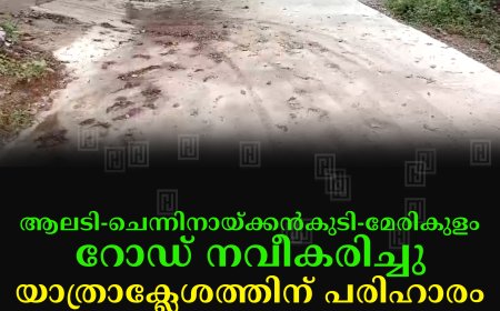 ആലടി-ചെന്നിനായ്ക്കന്കുടി-മേരികുളം റോഡ് നവീകരിച്ചു: യാത്രാക്ലേശത്തിന് പരിഹാരം