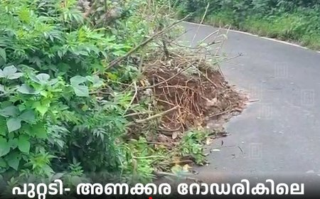 പുറ്റടി- അണക്കര റോഡരികിലെ മണ്‍കൂന വാഹനങ്ങള്‍ക്ക് ഭീഷണി