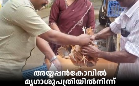 അയ്യപ്പന്കോവില് മൃഗാശുപത്രിയില്നിന്ന് കോഴിക്കുഞ്ഞുങ്ങളെ വിതരണംചെയ്തു