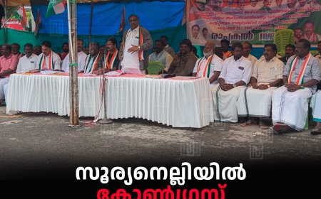 സൂര്യനെല്ലിയില് കോണ്ഗ്രസ് രാപ്പകല് സമരം നടത്തി