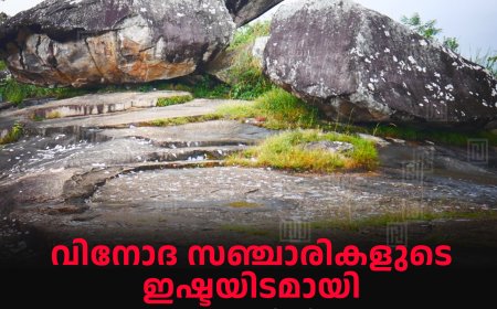 വിനോദ സഞ്ചാരികളുടെ ഇഷ്ടയിടമായി സേനാപതിയിലെ പ്ലെയിന്‍ പാറ 