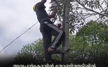 അയ്യപ്പന്കോവില് തോണിത്തടിയില് വഴിവിളക്കുകള് സ്ഥാപിച്ചു