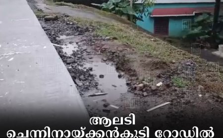 ആലടി ചെന്നിനായ്ക്കന്കുടി റോഡില് ഐറിഷ് ഓട നിര്മിച്ചിട്ടില്ലെന്ന് പരാതി