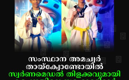 സംസ്ഥാന അമച്വര് തായ്ക്വോണ്ടോയില് സ്വര്ണമെഡല് തിളക്കവുമായി കട്ടപ്പനയിലെ സഹോദരിമാര്