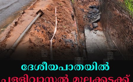ദേശീയപാതയില്‍ പള്ളിവാസല്‍ മൂലക്കടക്ക് സമീപം  മണ്ണിടിച്ചില്‍