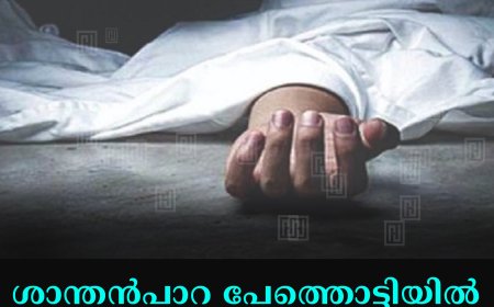 ശാന്തന്‍പാറ പേത്തൊട്ടിയില്‍ മരം വീണ്    സ്ത്രീ   തൊഴിലാളി  മരിച്ചു