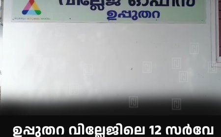 ഉപ്പുതറ വില്ലേജിലെ 12 സര്‍വേ നമ്പരുകളിലെ പട്ടയഭൂമിയുടെ പോക്കുവരവ് തടഞ്ഞു