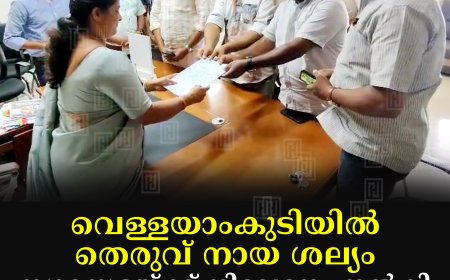 വെള്ളയാംകുടിയില് തെരുവ് നായ ശല്യം: നഗരസഭയ്ക്ക് നിവേദനം നല്കി