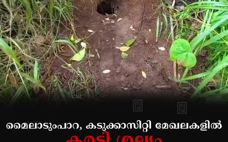 മൈലാടുംപാറ, കടുക്കാസിറ്റി മേഖലകളില്‍ കരടി ശല്യം: ഭീതിയോടെ നാട്ടുകാര്‍