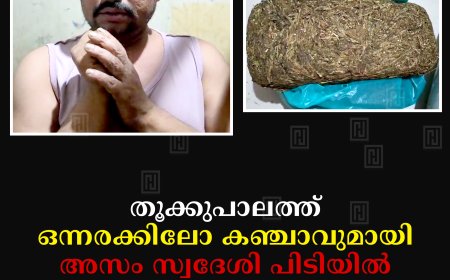 തൂക്കുപാലത്ത് ഒന്നരക്കിലോ കഞ്ചാവുമായി അസം സ്വദേശി പിടിയില്
