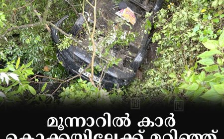 മൂന്നാറില്‍ കാര്‍ കൊക്കയിലേക്ക് മറിഞ്ഞ് ദമ്പതികള്‍ക്ക് പരിക്ക്